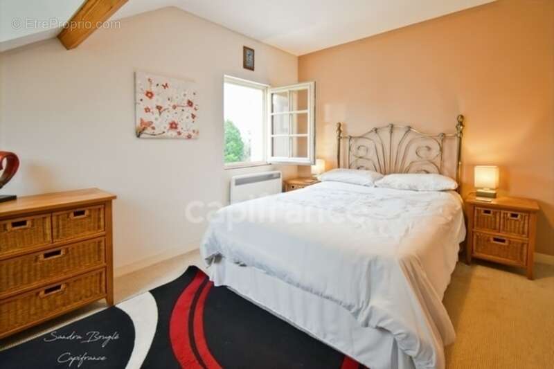 Maison à vendre 8 pièces Maison 228 m2  SAINTE GEMMES LE ROBERT (53) - photo 11