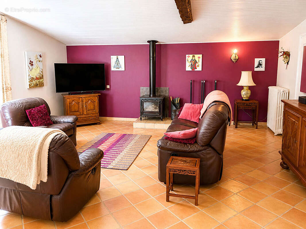 Propriété de charme avec maisons d'amis , granges et piscine - photo 11