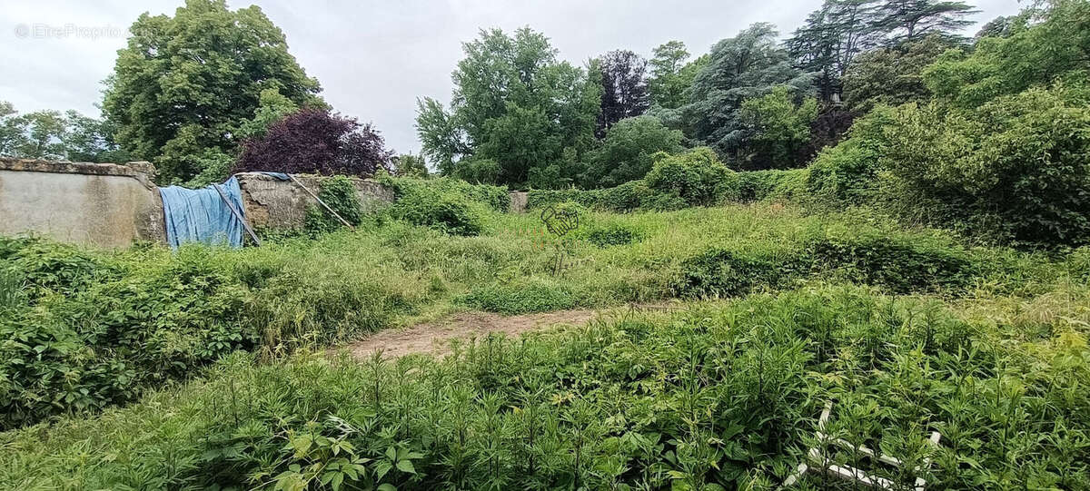 Grand terrain et T4 rez de jardin sur 2 parcelles - photo 4