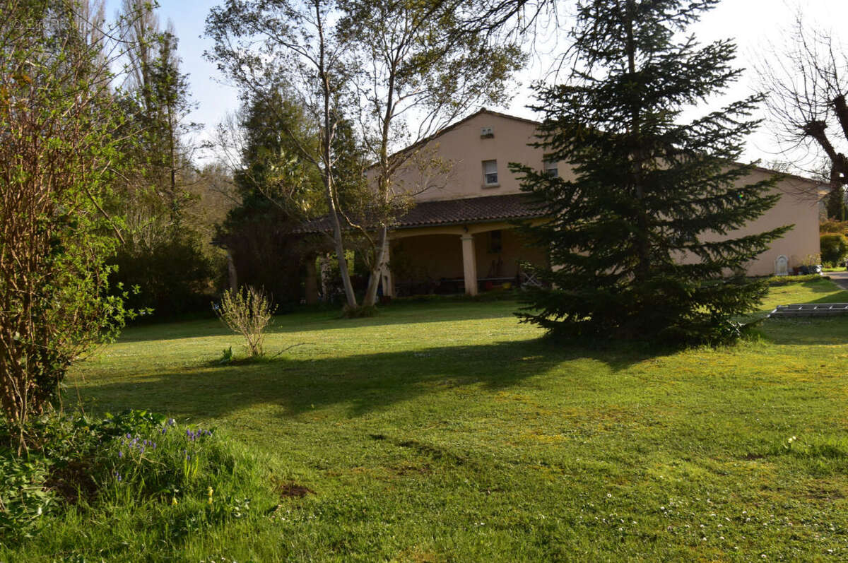 DSC_0075 - Maison à L&#039;ISLE-D&#039;ESPAGNAC