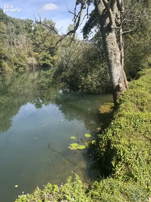 Terrain de loisirs - photo 8