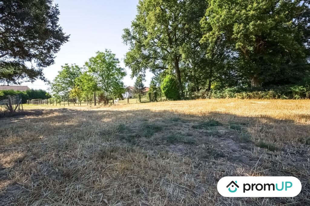 Terrain à SAINT-MAURICE-LA-SOUTERRAINE