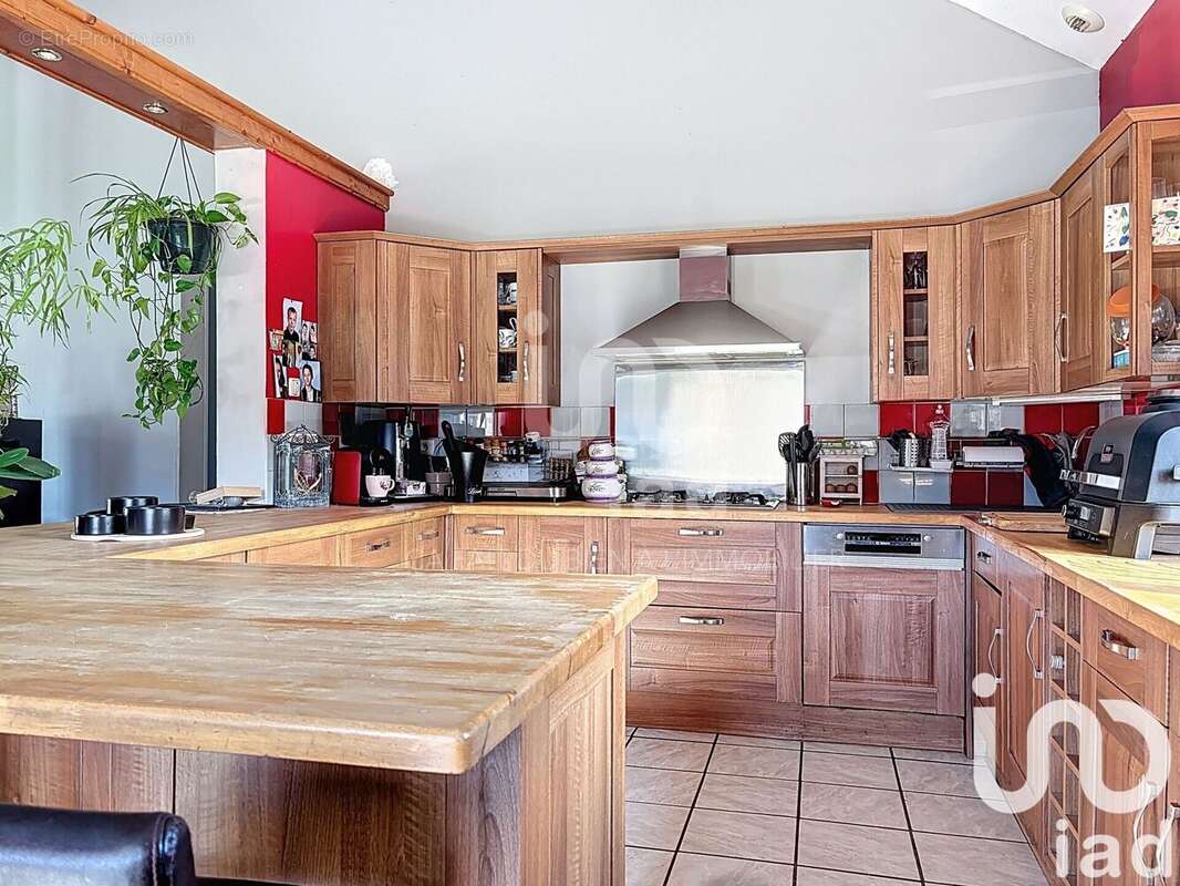 Photo 4 - Maison à ANNEVILLE-SUR-SCIE