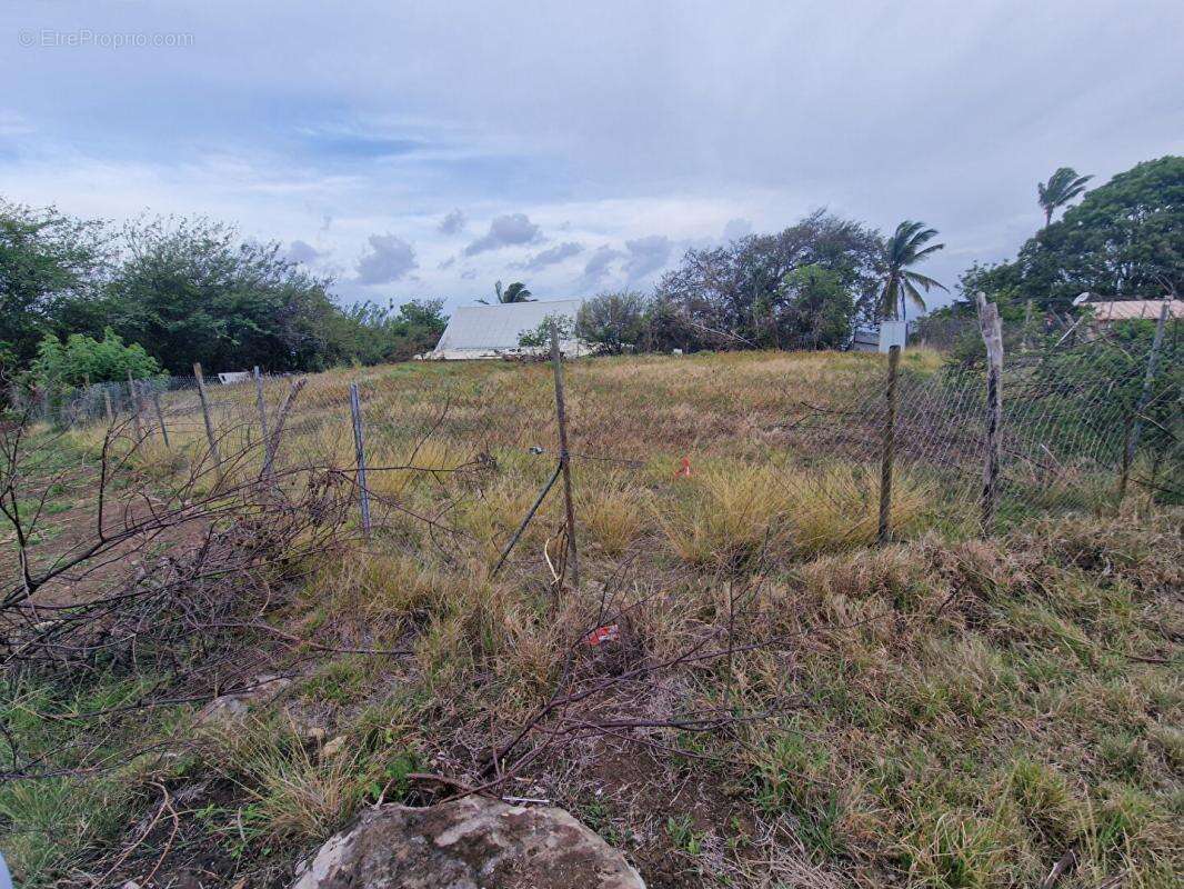 Terrain Case Pilote 1000 m2 quartier Micolo - photo 3