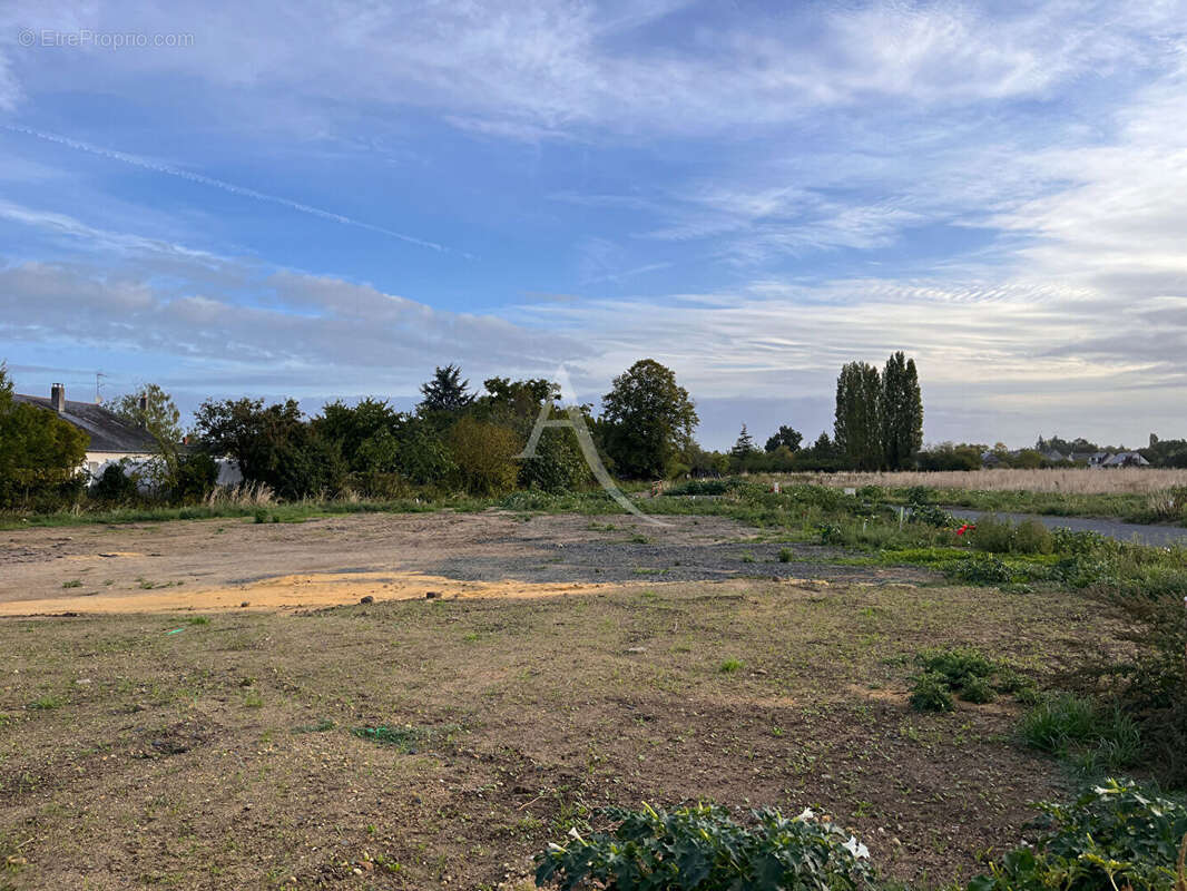 Terrain à LA MENITRE