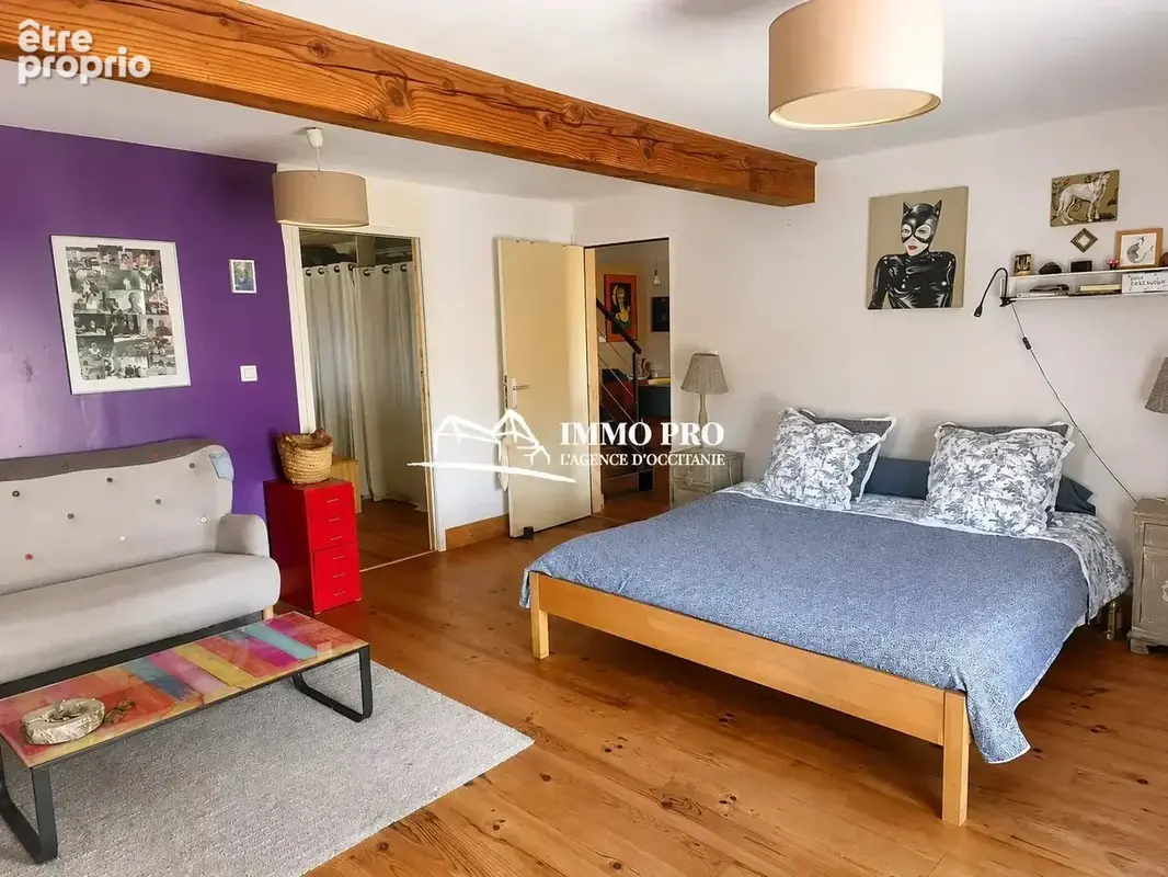 Samatan  Maison rénovée et son couloir de nage  VUE PYRENEES - photo 12