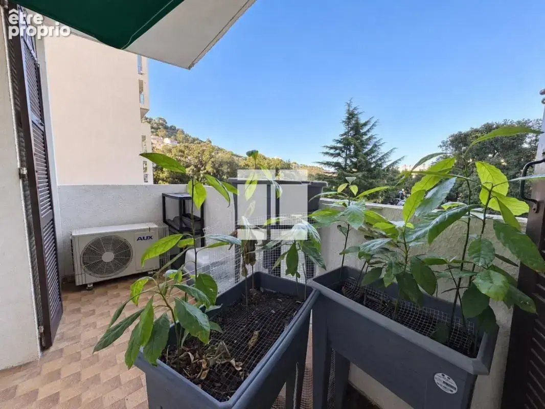 Appartement - t1 - residence sambocuccio - photo 1