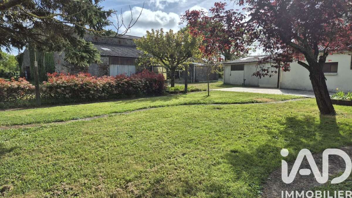 Photo 2 - Maison à CHOLET