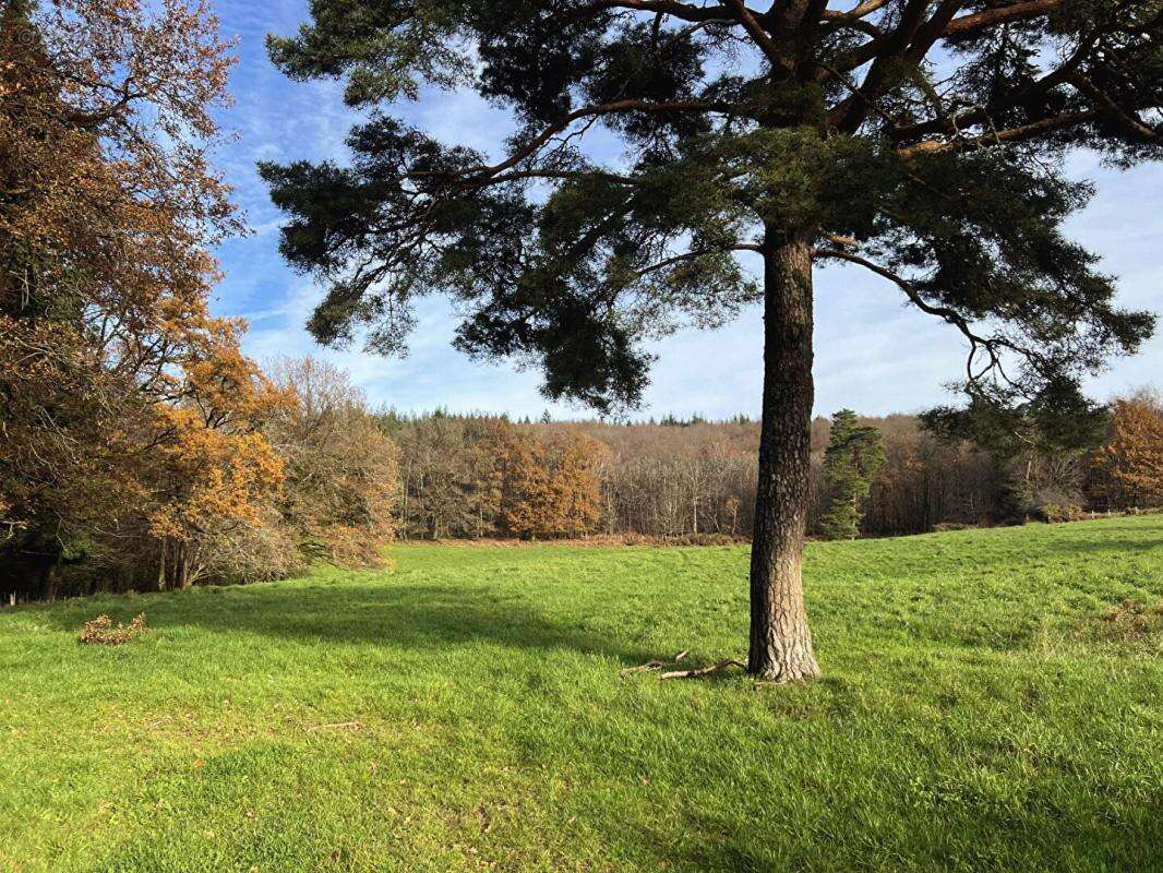 Maison à SAINT-PRIEST-LES-FOUGERES