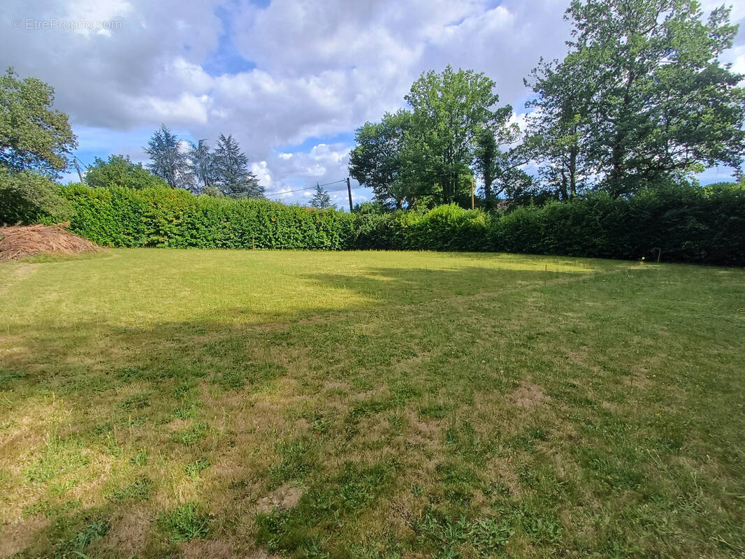 Terrain à MONTARDON
