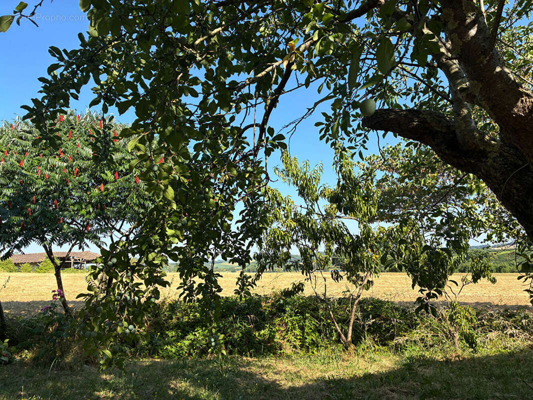 Maison de plain-pied avec vue dégagée sur la campagne, à deux pas de Cancon - photo 5