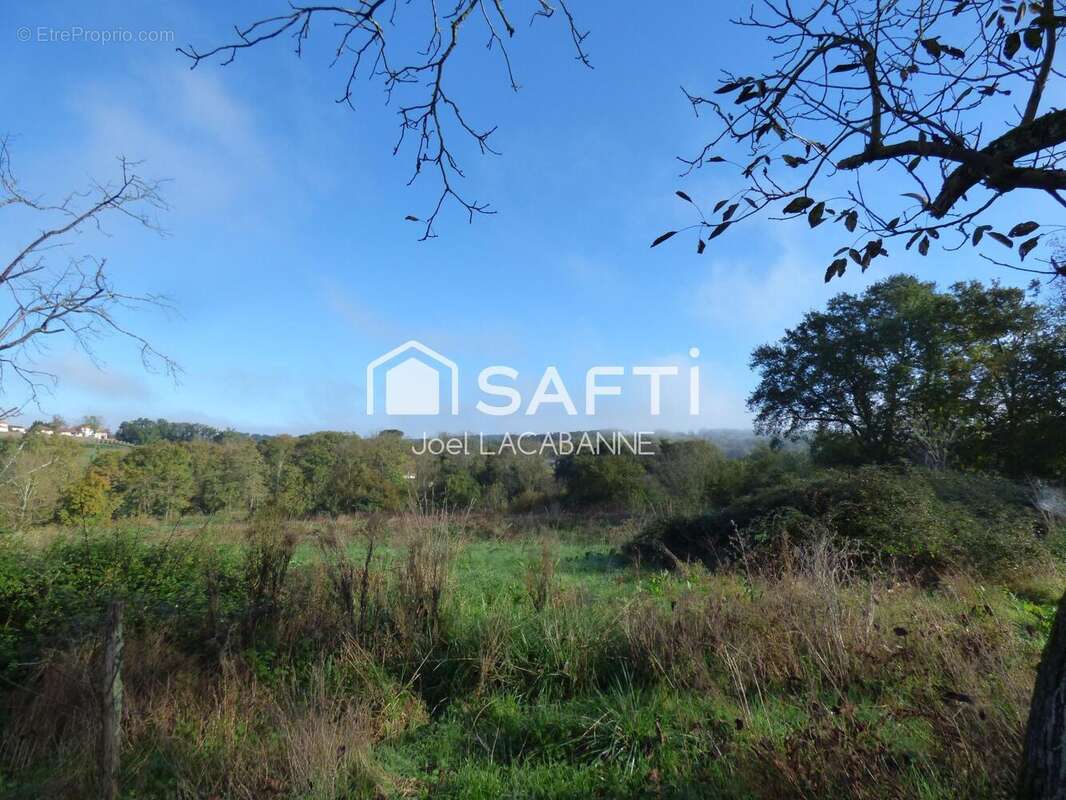 Photo 8 - Maison à SAINT-LANNE