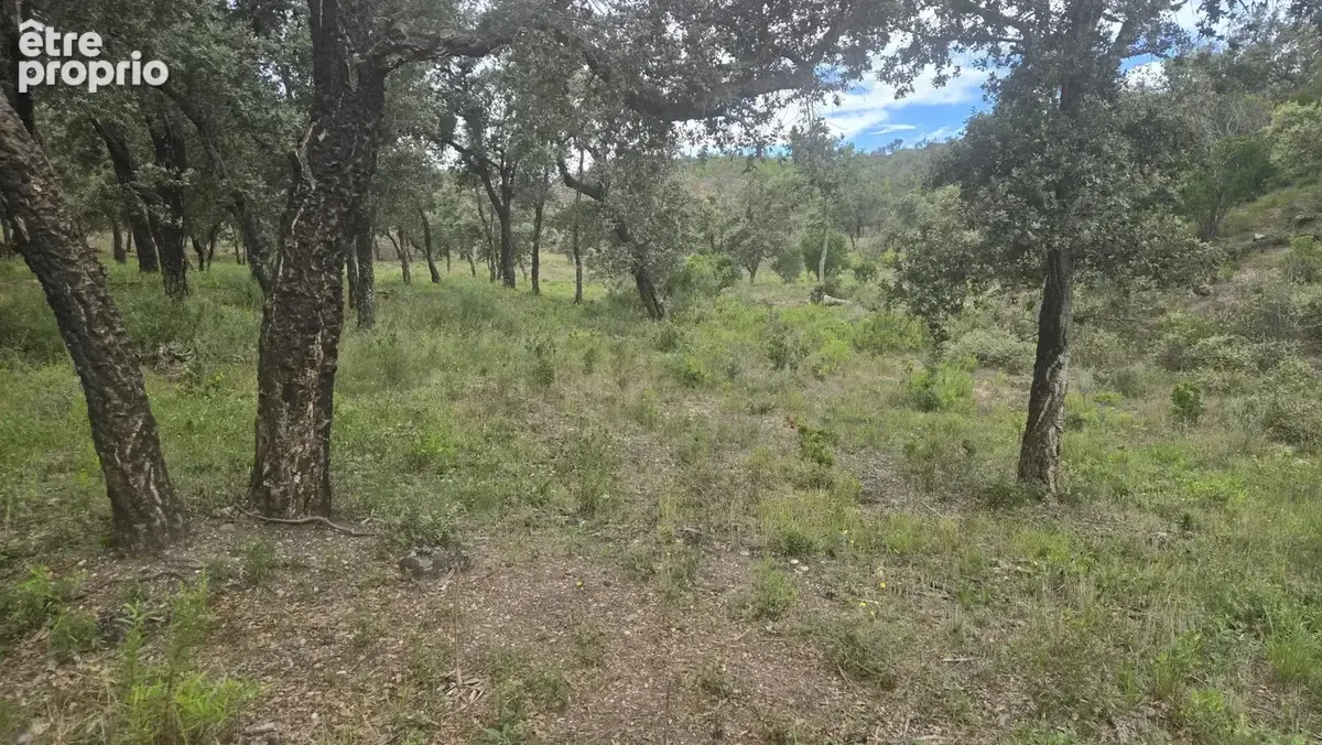 Terrain à BORMES-LES-MIMOSAS