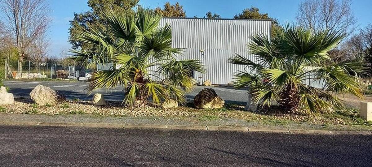 Photo 1 - Commerce à SAINT-SEURIN-SUR-L'ISLE