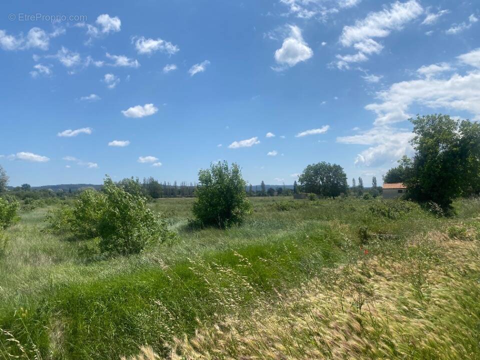 Terrain à COURSAN