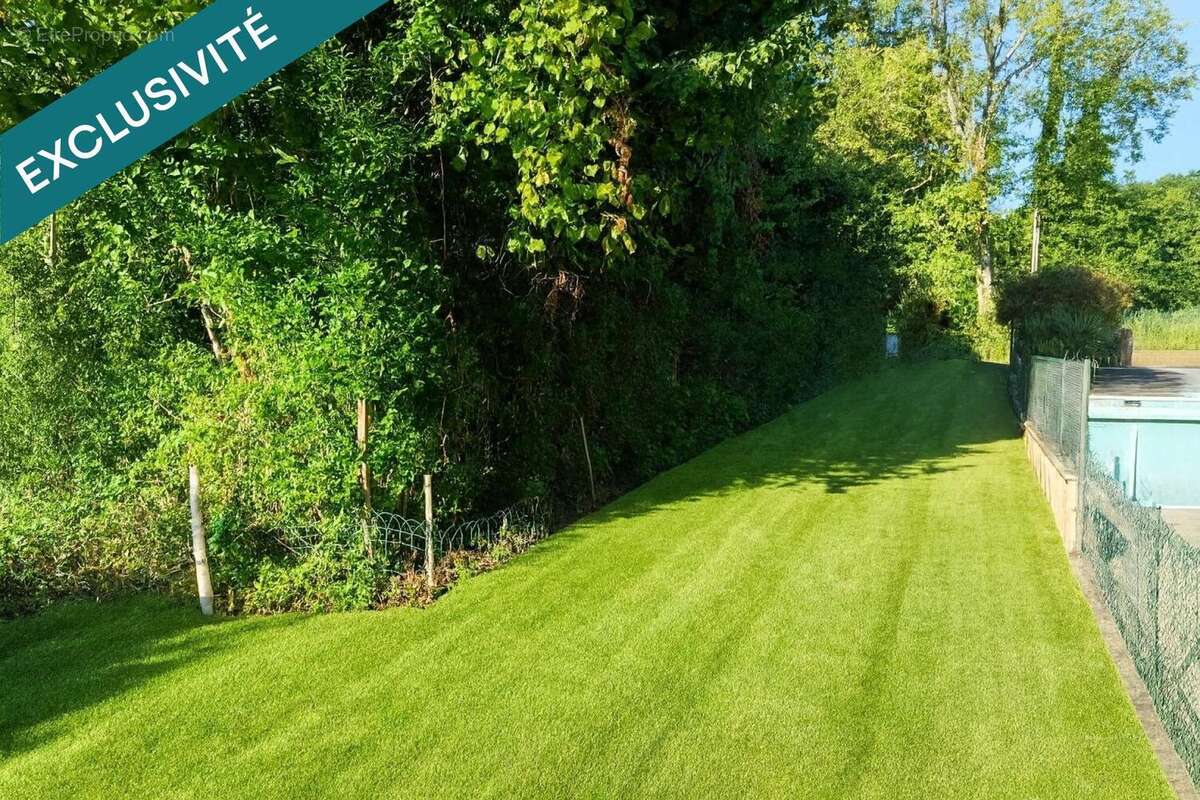 Terrain 3625 m² à Pierrepont  - photo 6
