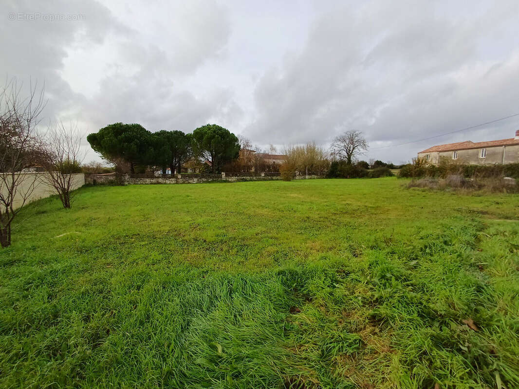 Photo 3 - Terrain à FONTENAY-LE-COMTE