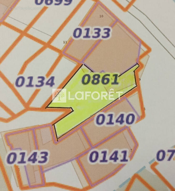 Terrain à PRATS-DE-MOLLO-LA-PRESTE