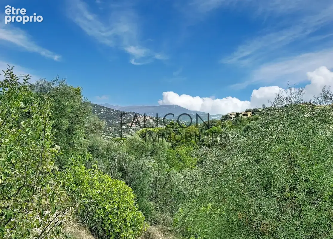 Falicon – Terrain constructible de 1 911 m² avec permis purgé pour une villa contemporaine - photo 2