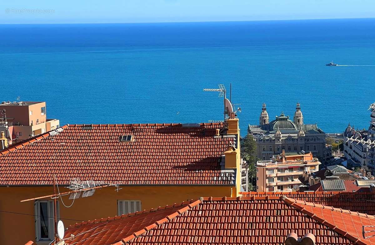 Vue mer, calme, terrasse  - photo 4