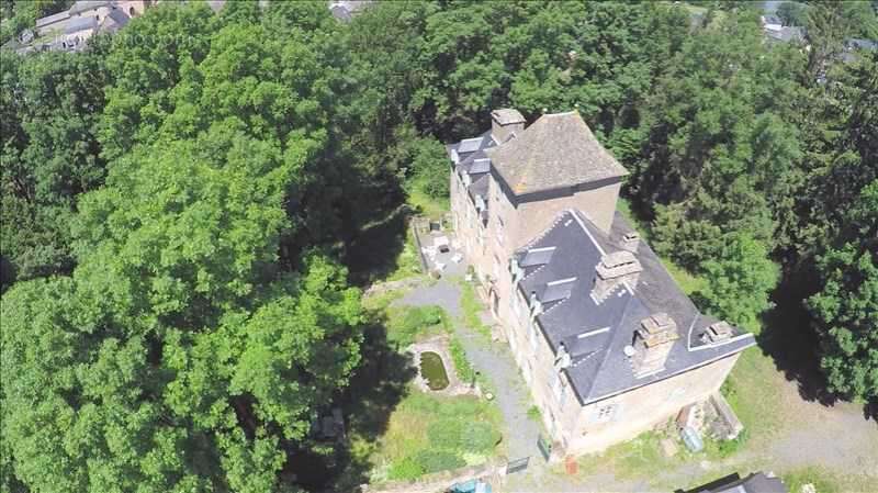 Château, ancienne maison à aménager et dépendance - Arvieu - photo 29