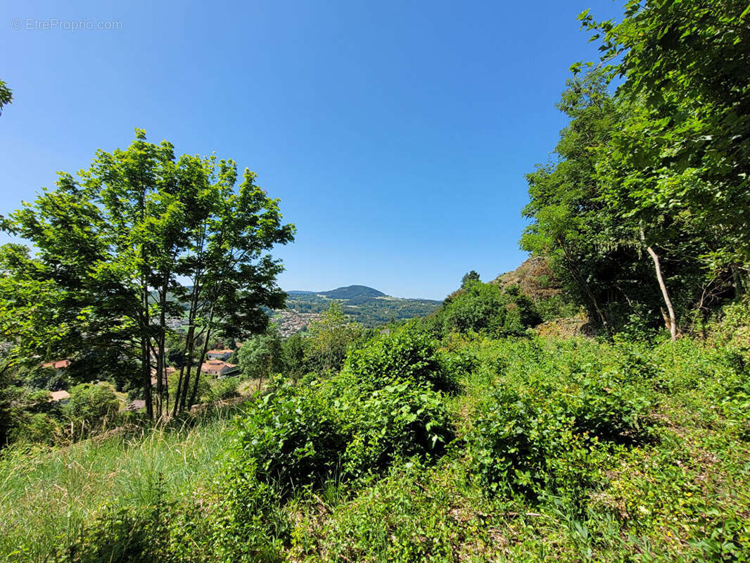 Terrain à VALS-PRES-LE-PUY