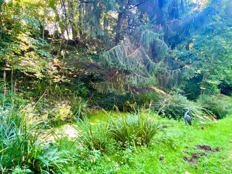 Magnifique Moulin rénové en totalité (DPE D) avec gîte indépendant sur terrain de 3,5HA arboré sans vis à vis BOUGUE (40) - photo 8