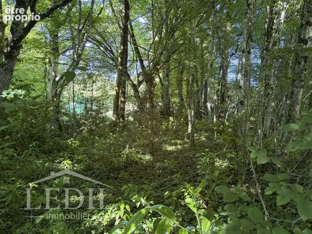 Terrain constructible 788 m2 - photo 2