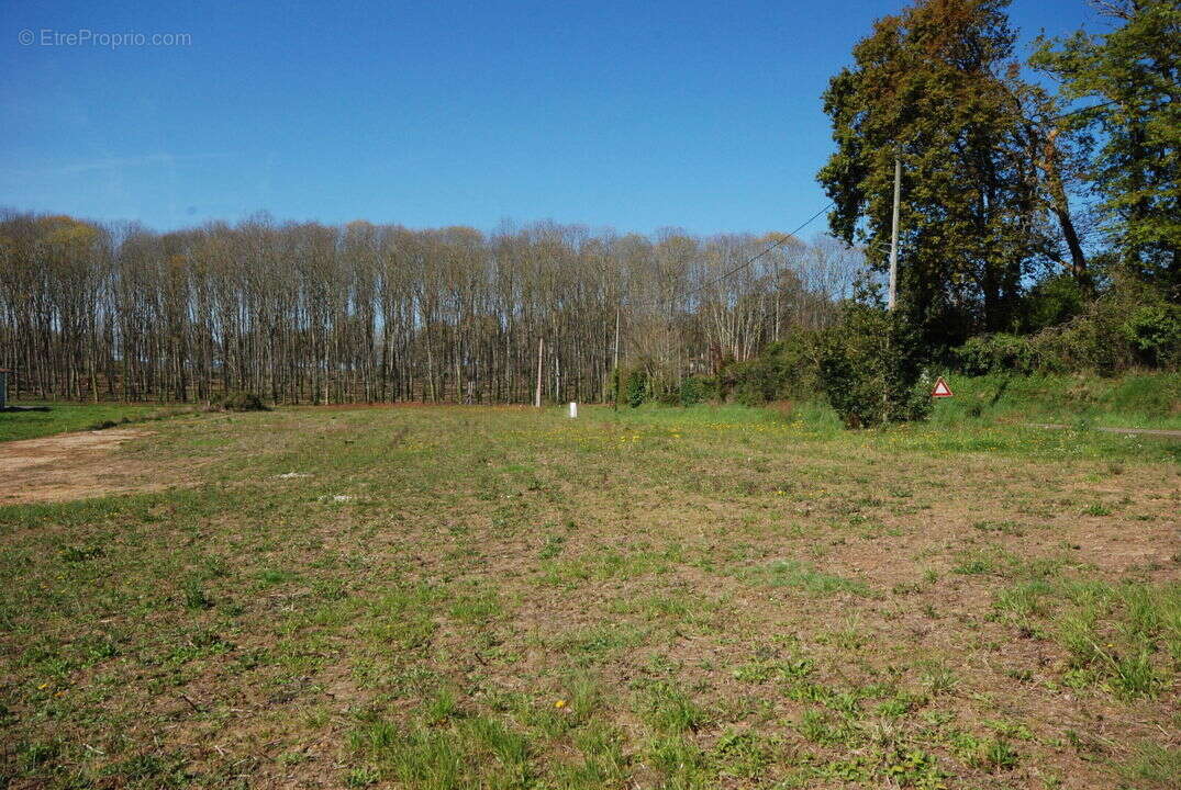 Terrain pouillon - photo 2
