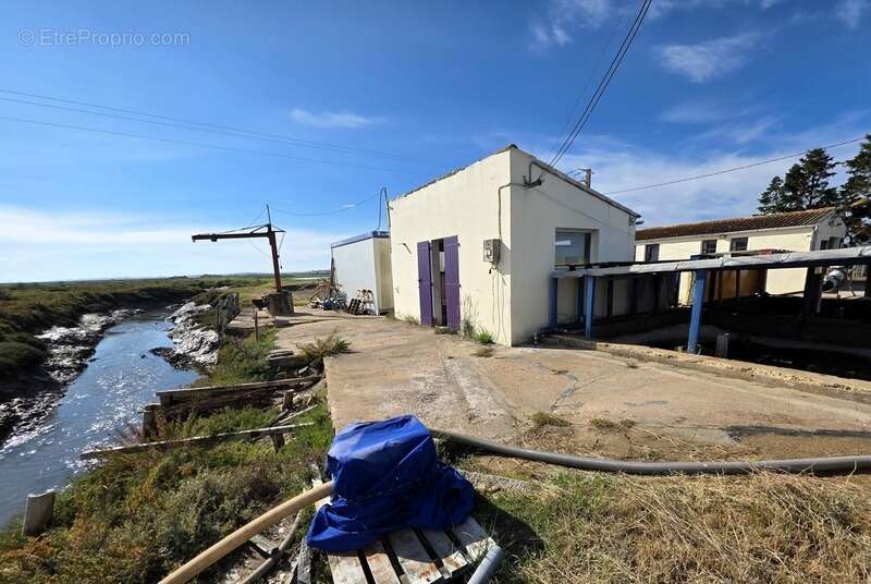 Commerce à DOLUS-D&#039;OLERON