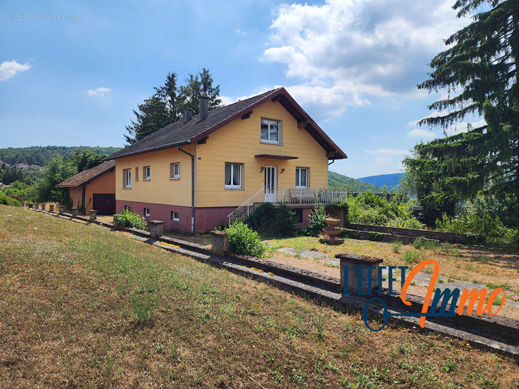 Ensemble immobilier à Osenbach - photo 2