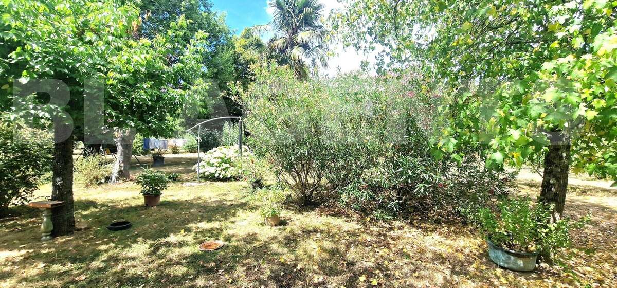 20250728_145414 - Maison à CASTELSARRASIN