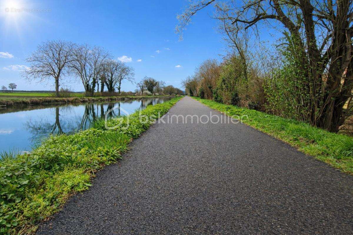 Terrain à MUNTZENHEIM