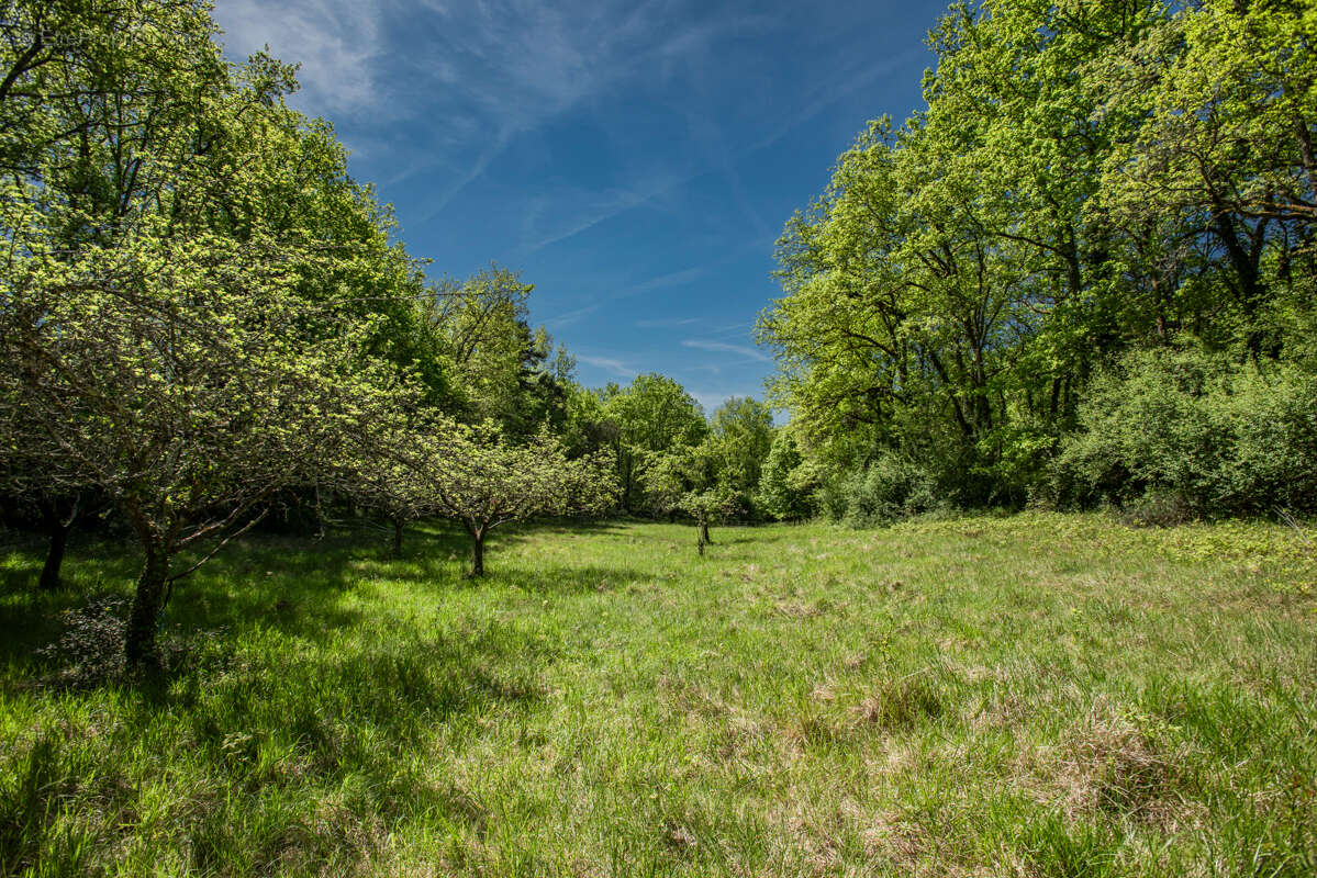 Maison +/- 114 m2, plein pied, 3chambres, garage, atelier, 2.5ha terrain - photo 17