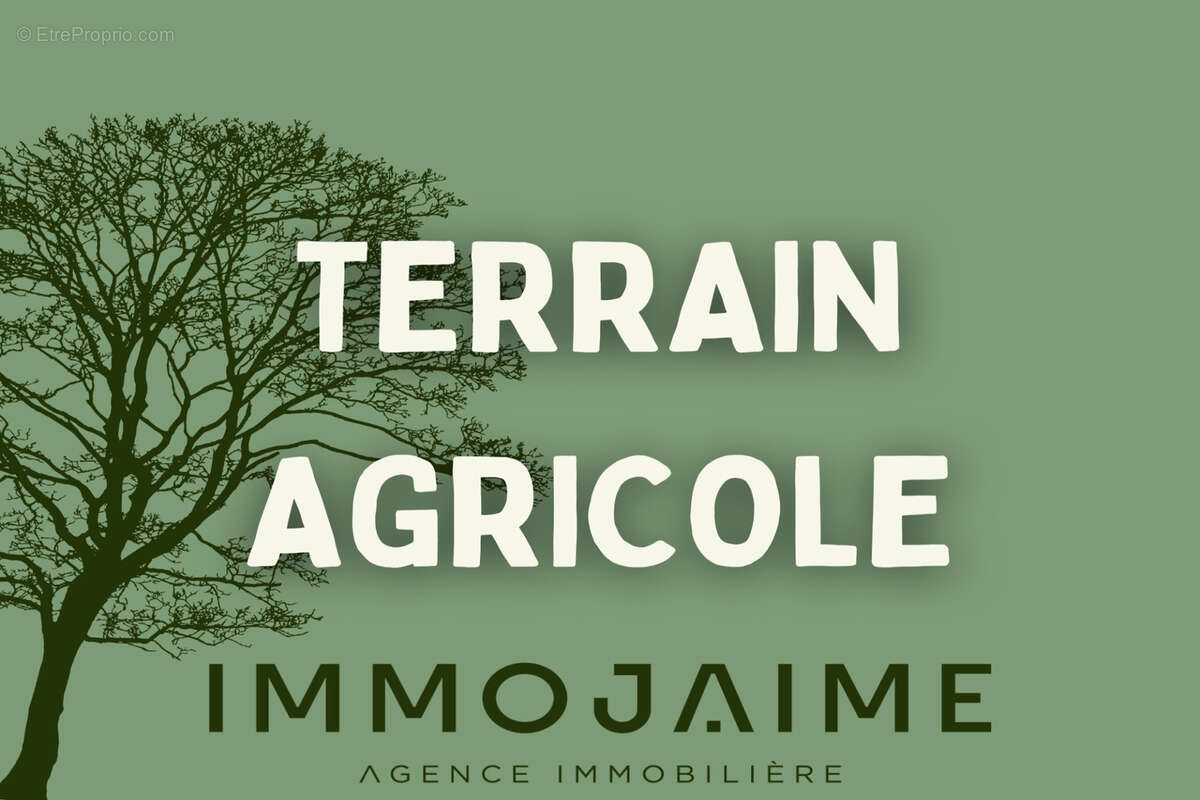 Montesquieu-des-albères - terrain non-constructible - photo 2