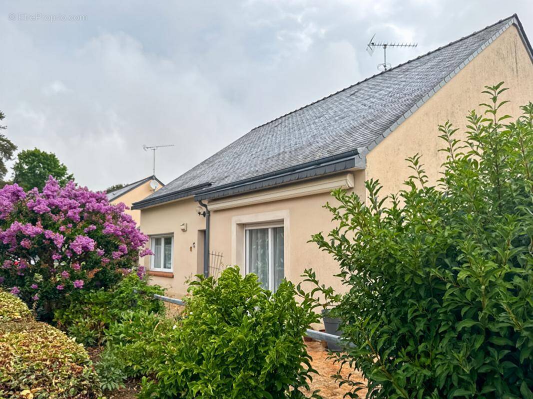 Maison à SAINT-DENIS-D&#039;ANJOU