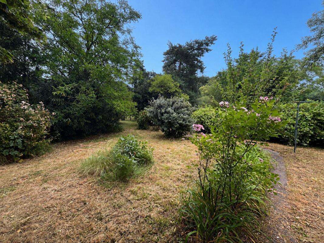 Maison Saint Christophe En Bazelle 3 pièce(s) 75 m2 - photo 8