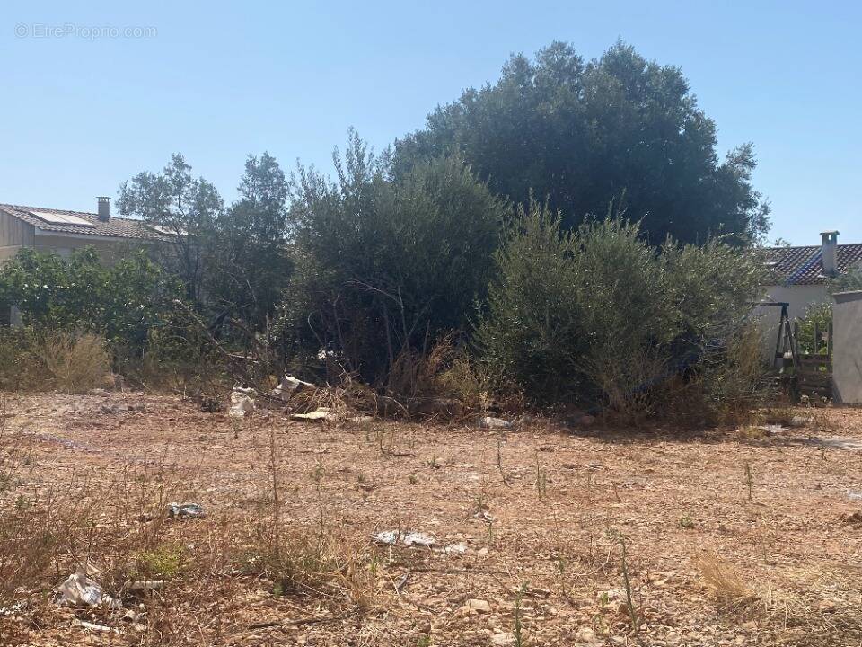 Terrain à PIERREFEU-DU-VAR