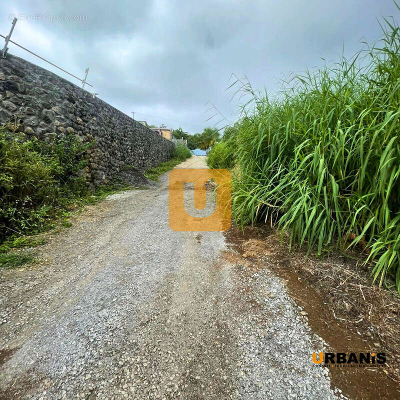 Terrain à LES TROIS-BASSINS