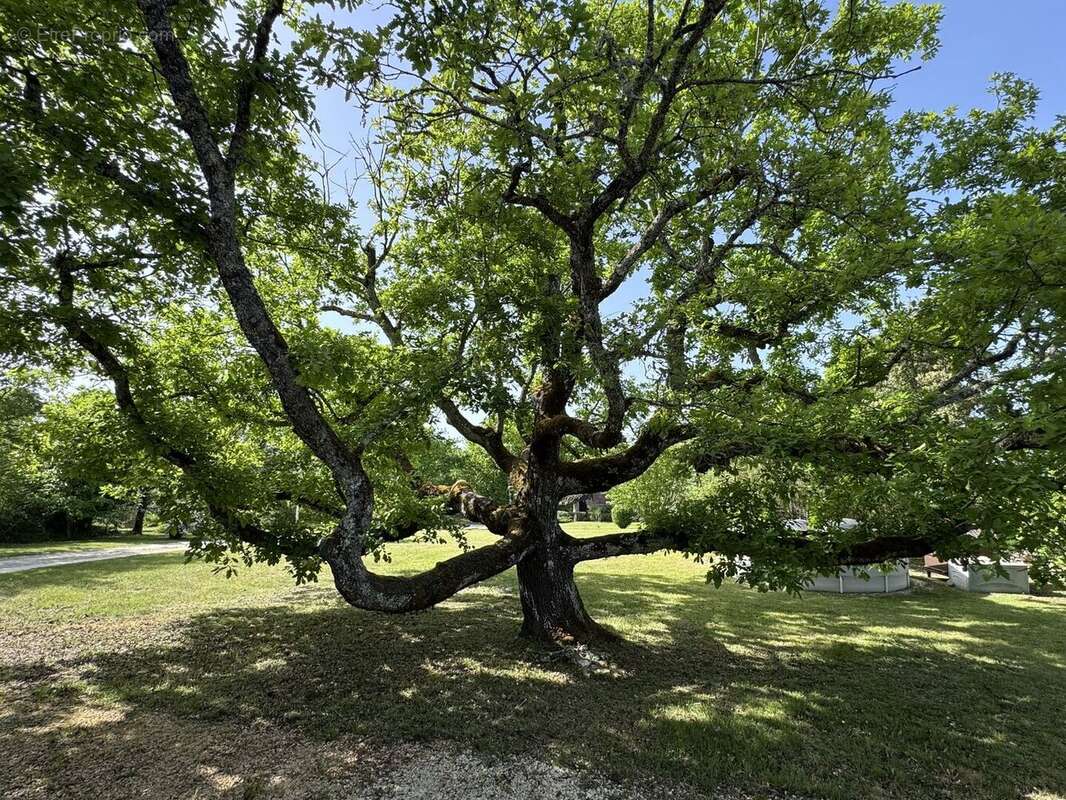 IMG2801 - Maison à DAGLAN