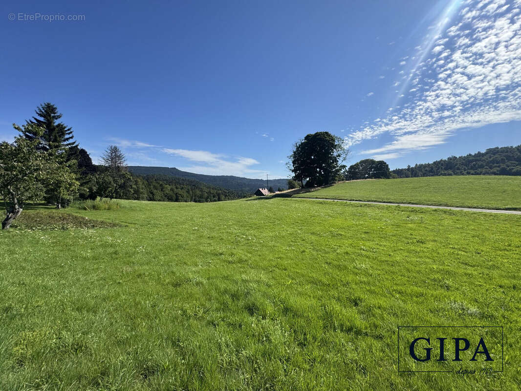 Terrain à LE HOHWALD