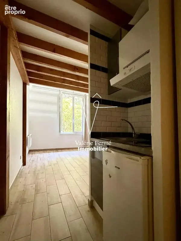 Appartement T1 Bis avec mezzanine (28,38m2 loi carrez (36,19m2 au sol)), "Copropriété de Charme"- Bordeaux. - photo 9