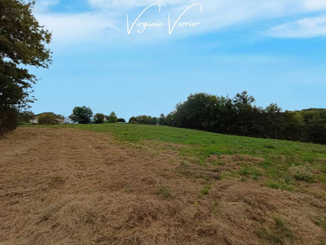 Terrain à SAINT-CYPRIEN