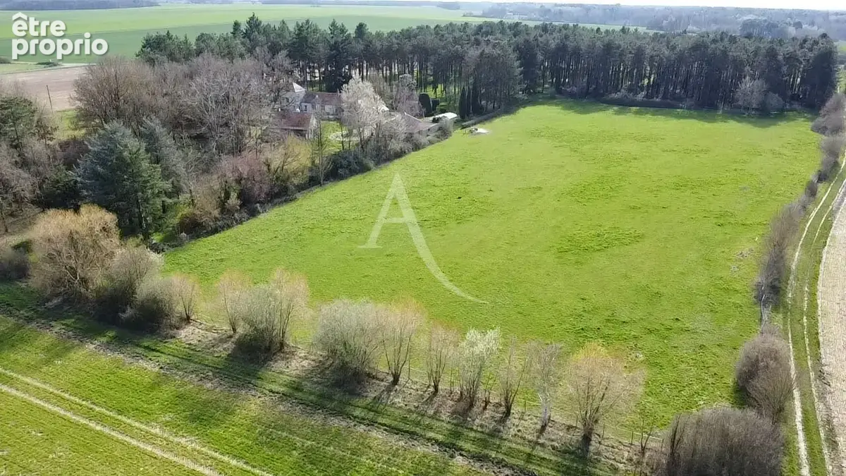 Saint-Georges-sur-Cher - Propriété d'exception, au calme absolu - photo 5