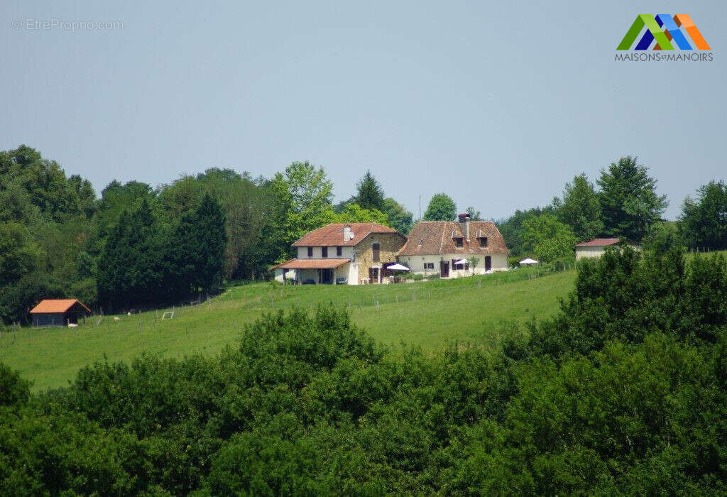 Maison 290 m² à Orthez  - photo 2
