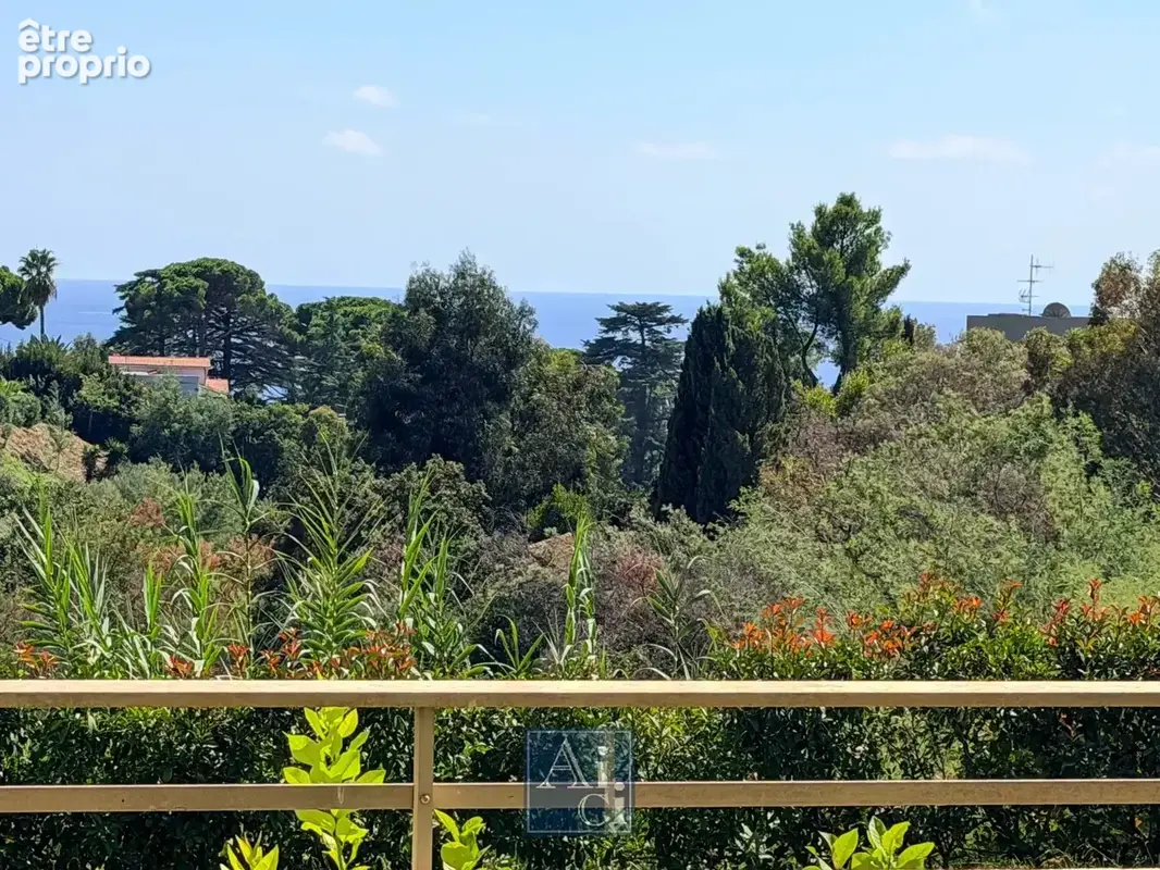 Cannes-vue mer-rez de jardin sureleve - photo 12