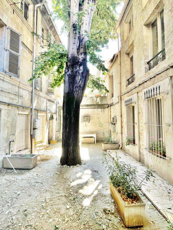 Appartement - photo 10