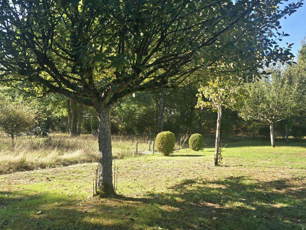 Maison à BOURG-DU-BOST