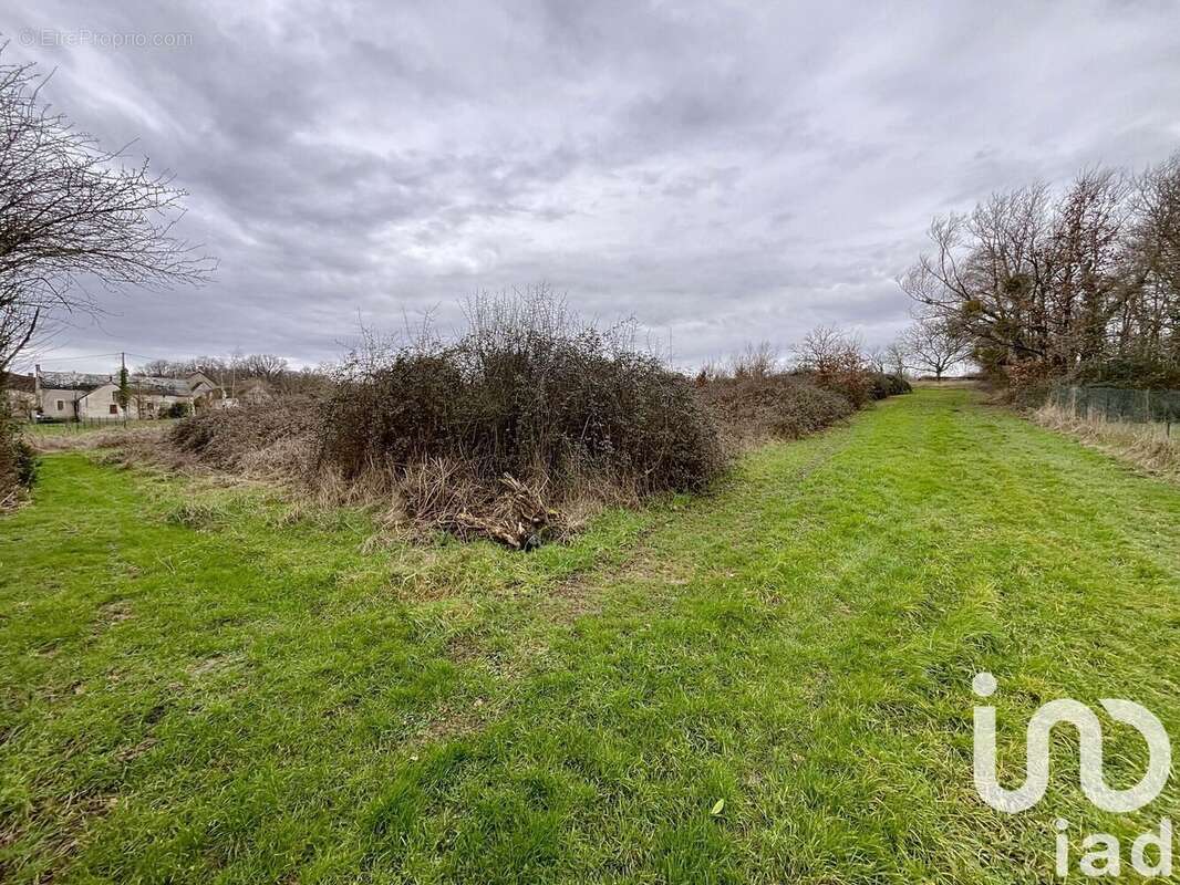 Photo 4 - Terrain à POUILLE