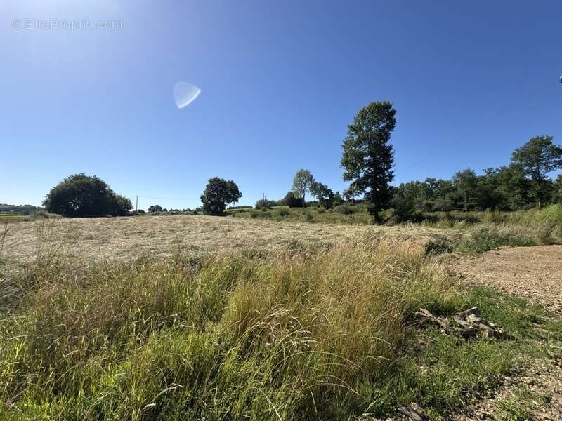 Terrain à ORTHEZ